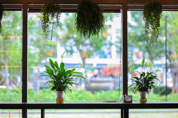 Découvrez l'appareil photo idéal pour éveiller votre enfant !